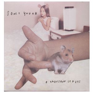 Sonic Youth: A Thousand Leaves [LP] [LP] - VINYL Product Image
