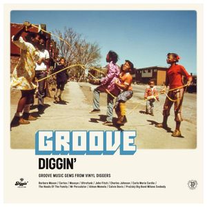 Various Artists: Groove Diggin [LP] - VINYL Product Image