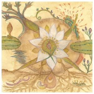 Joaquin Cornejo: Vision Versions [LP] - VINYL Product Image