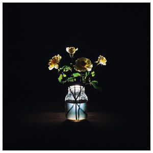 Billy Strings: Renewal [LP] - VINYL Product Image