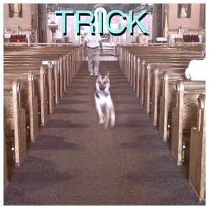 Alex G: Trick [LP] - VINYL Product Image