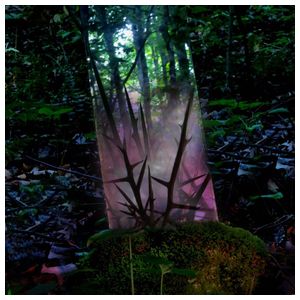 Jensen Sportag: Stealth of Days [LP] - VINYL Product Image