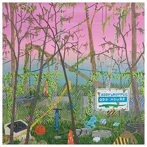 Caddywhompus: Odd Hours [LP] - VINYL Product Image