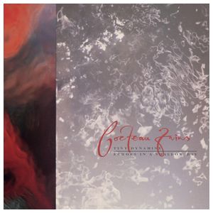 Cocteau Twins: Tiny Dynamine/Echoes in a Shallow Bay [LP] [LP] - VINYL Product Image