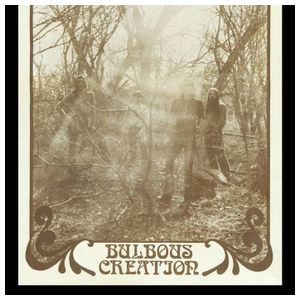 Bulbous Creation: You Won't Remember Dying [LP] - VINYL Product Image