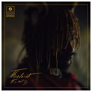 Thundercat: It Is What It Is [LP] - VINYL Product Image