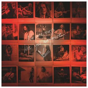 Chris Cornell: No One Sings Like You Anymore [Picture Disc LP] [Picture Disc] Product Image
