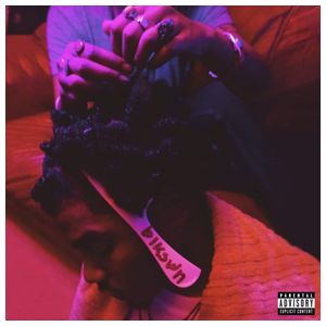 Smino: Blkswn [LP] - VINYL Product Image
