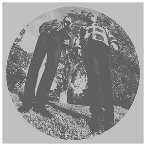 Ty Segall: Hair [LP] [VINYL] Product Image