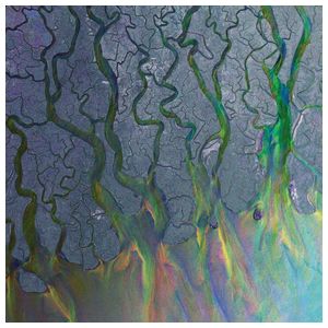 Alt-J: An Awesome Wave [LP] - VINYL Product Image