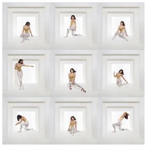 Foxes: The Kick [LP] - VINYL Product Image