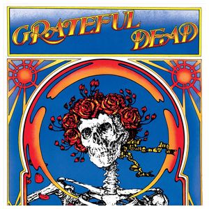 Grateful Dead: Grateful Dead (Skull & Roses) [LP] - VINYL Product Image