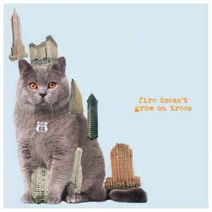 The Brian Jonestown Massacre: Fire Doesn't Grow On Trees [LP] - VINYL Product Image