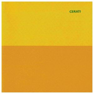 Gustavo Cerati: Amor Amarillo [LP] - VINYL Product Image