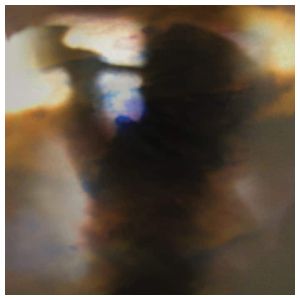 Animal Collective: Fall Be Kind [12 inch Vinyl Single] Product Image
