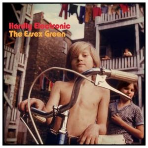 The Essex Green: Hardly Electronic [LP] - VINYL Product Image