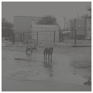 Nivhek: After Its Own Death/Walking in a Spiral Towards the House [LP] - VINYL Product Image