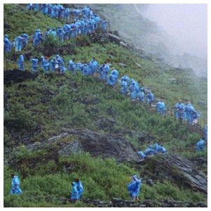 Courtney Barnett: End of the Day [LP] [VINYL] Product Image
