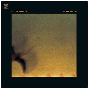 Supreme Court: A Supreme Vibe [LP] [VINYL] Product Image