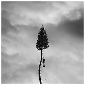Manchester Orchestra: A Black Mile to the Surface [LP] - VINYL Product Image