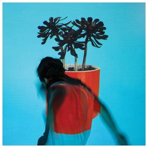 Local Natives: Sunlit Youth [LP] [LP] - VINYL Product Image