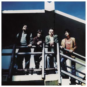 The Reigning Sound: Home for Orphans [LP] - VINYL Product Image