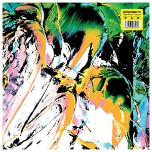 Errorsmith: Superlative Fatigue [LP] - VINYL Product Image
