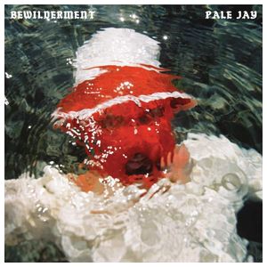 Pale Jay: Bewilderment [LP] - VINYL Product Image