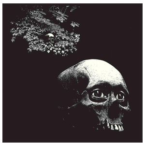 Osees: Foul Form [LP] - VINYL Product Image