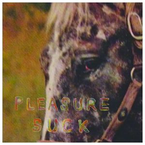 Spirit of the Beehive: Pleasure Suck [LP] - VINYL Product Image