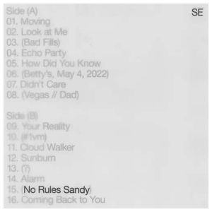 Sylvan Esso: No Rules Sandy [LP] - VINYL Product Image