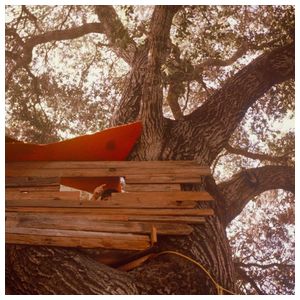 The Backseat Lovers: Waiting To Spill [Anniversary Edition] [Translucent Ruby LP] [LP] - VINYL Product Image