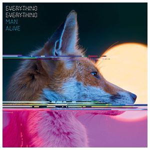 Everything Everything: Man Alive [LP] - VINYL Product Image