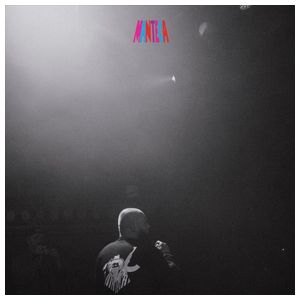 Crimeapple: El Cantante [LP] - VINYL Product Image