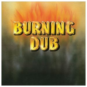 The Revolutionaries: Burning Dub [LP] - VINYL Product Image