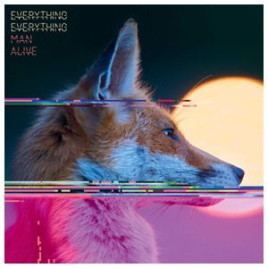 Everything Everything: Man Alive [LP] - VINYL Product Image