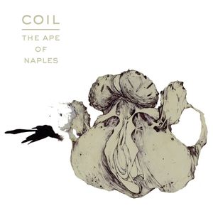 Coil: The Ape of Naples [LP] - VINYL Product Image