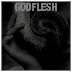 Godflesh: Purge [LP] - VINYL Product Image
