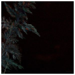Lehmann B. Smith: Dark Green [LP] - VINYL Product Image
