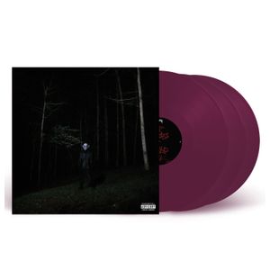 Destroy Lonely: If Looks Could Kill [Translucent Purple 3 LP] [LP] - VINYL Product Image