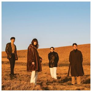 FUR: When You Walk Away [LP] - VINYL Product Image