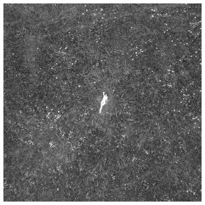 Birds of Passage: The Last Garden [LP] - VINYL Product Image
