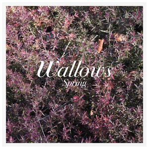 Wallows: Spring [LP] - VINYL Product Image