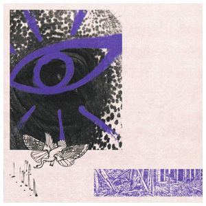 Hippo Campus: LP3 [LP] - VINYL Product Image