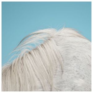 Widowspeak: All Yours [LP] - VINYL Product Image