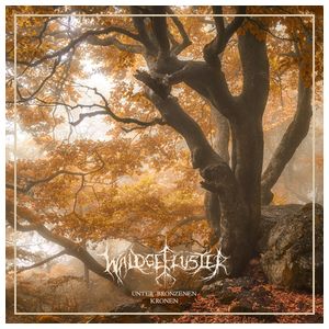 Waldgeflüster: Unter Bronzenen Kronen [LP] [VINYL] Product Image