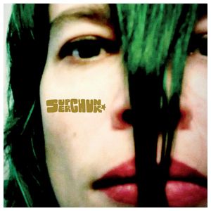 Superchunk: Misfits and Mistakes: Singles, B-sides & Strays 2007–2023 [LP] [VINYL] Product Image