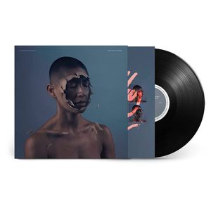 Manchester Orchestra: The Valley of Vision [Extended Play Record] Product Image