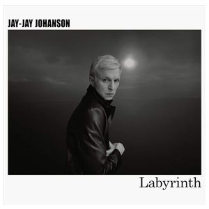 Jay-Jay Johanson: Labyrinth [LP] - VINYL Product Image