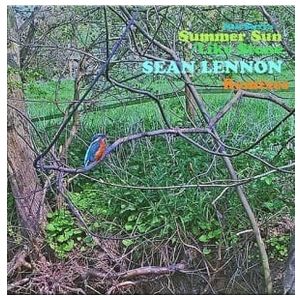 Matt Berry: Summer Sun [12 inch Vinyl Single] Product Image